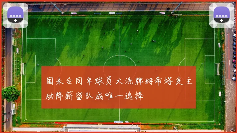 国米合同年球员大洗牌姆希塔良主动降薪留队成唯一选择