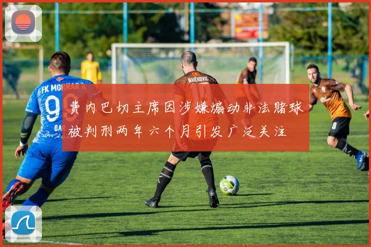 费内巴切主席因涉嫌煽动非法赌球被判刑两年六个月引发广泛关注